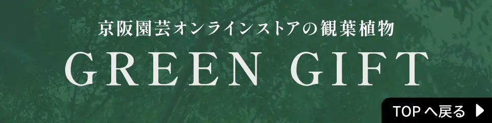 京阪園芸オンラインストアの観葉植物GREEN GIFTトップに戻る