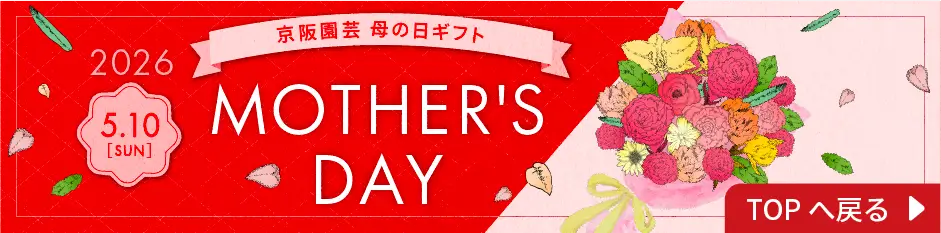 母の日トップに戻る