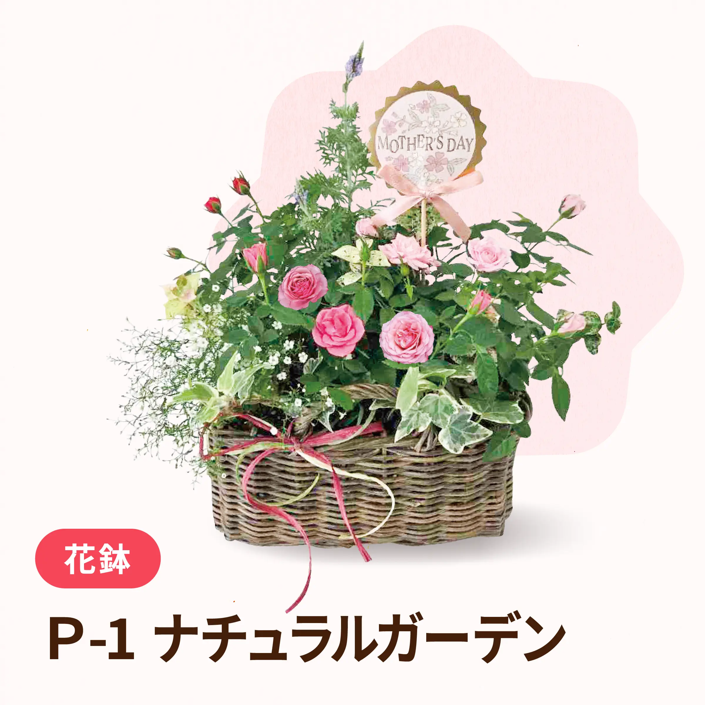 母の日寄せ植え P-1 ナチュラルガーデン