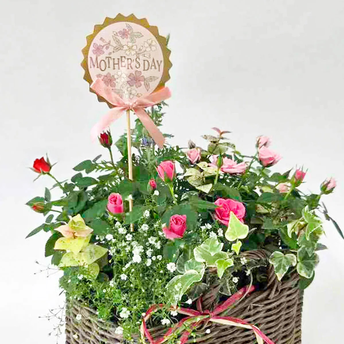 母の日寄せ植え P-1 ナチュラルガーデン