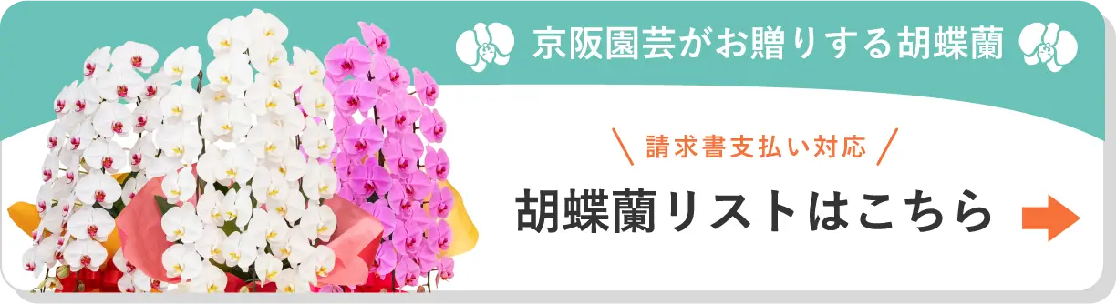 胡蝶蘭リストはこちら 請求書支払い対応