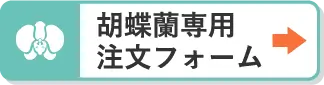 胡蝶蘭専用フォームでのご注文はこちら