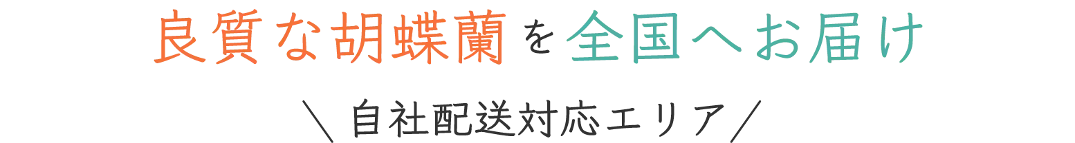 良質な胡蝶蘭を全国へお届け 自社配送対応エリア