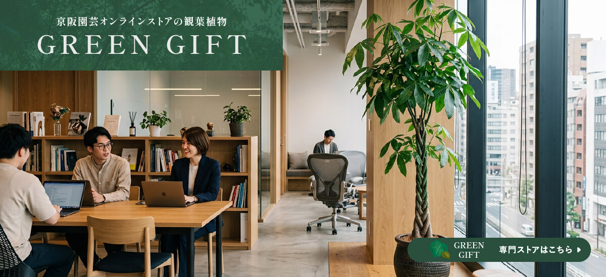 京阪園芸オンラインストアの観葉植物