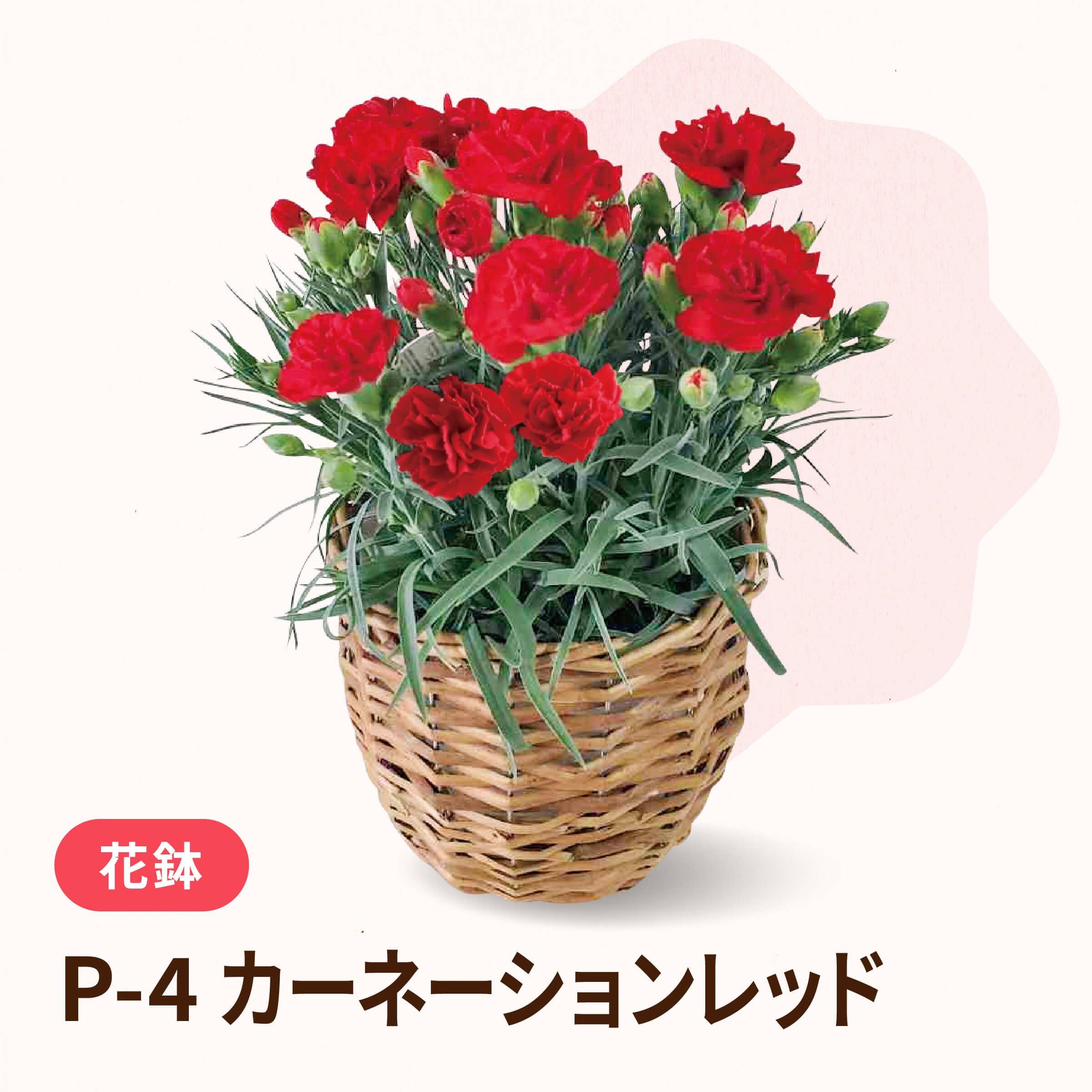 チャーム　蝶々さんとバラの花　９個 チャーム 蝶々さんとバラの花 9個の通販 | PUNSHAVING